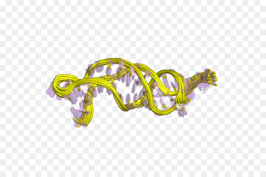 Rna Da Telomerase Componente，A Telomerase PNG