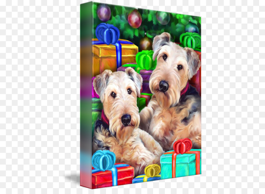 Lakeland Terrier，Welsh Terrier PNG