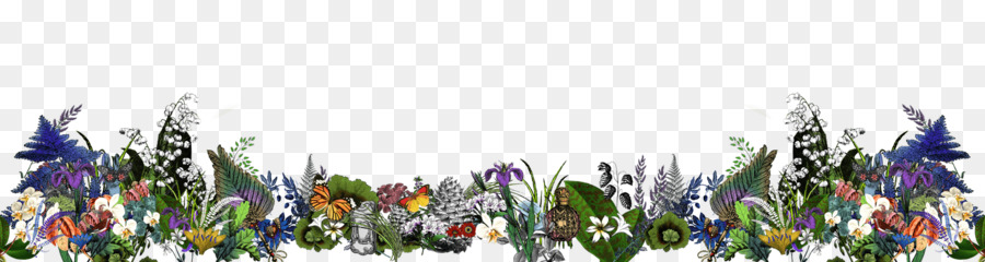 Gramíneas，Flores De Corte PNG