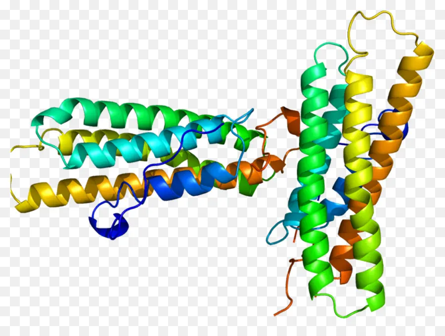 Estrutura Proteica Colorida，Biologia PNG