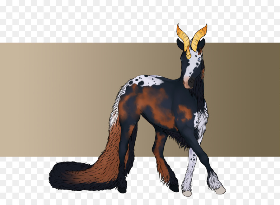 Canidae，Cavalo PNG