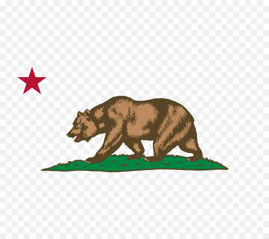 Califórnia，Bandeira Da Califórnia PNG