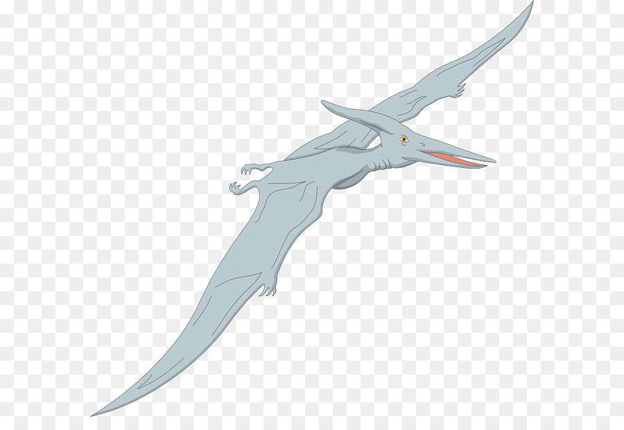 Quetzalcoatlus，O Pterossauro PNG