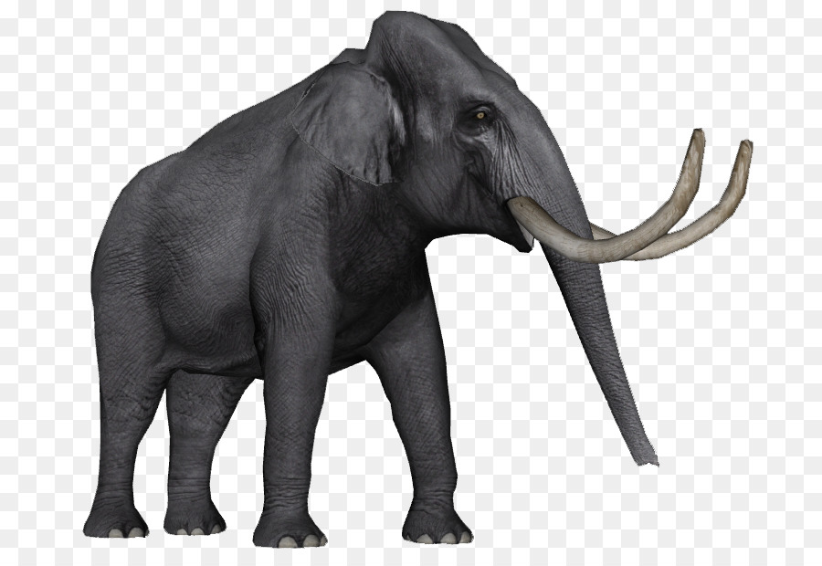 Elefante，Mamífero PNG