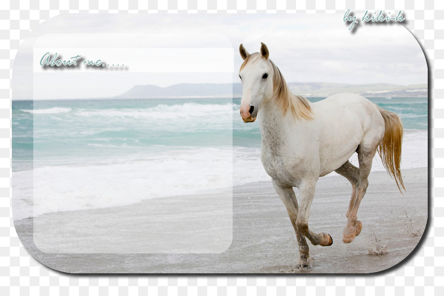 Cavalo Branco，Praia PNG