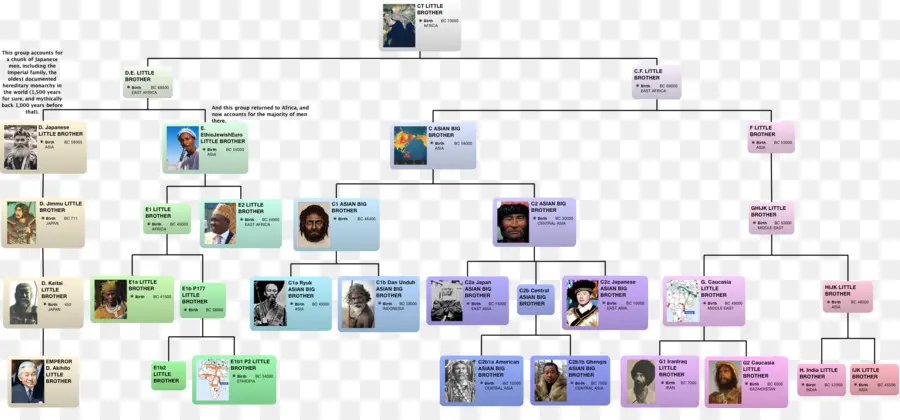 Humanos Ychromosome Dna Haplogroup，Cromossoma Y PNG