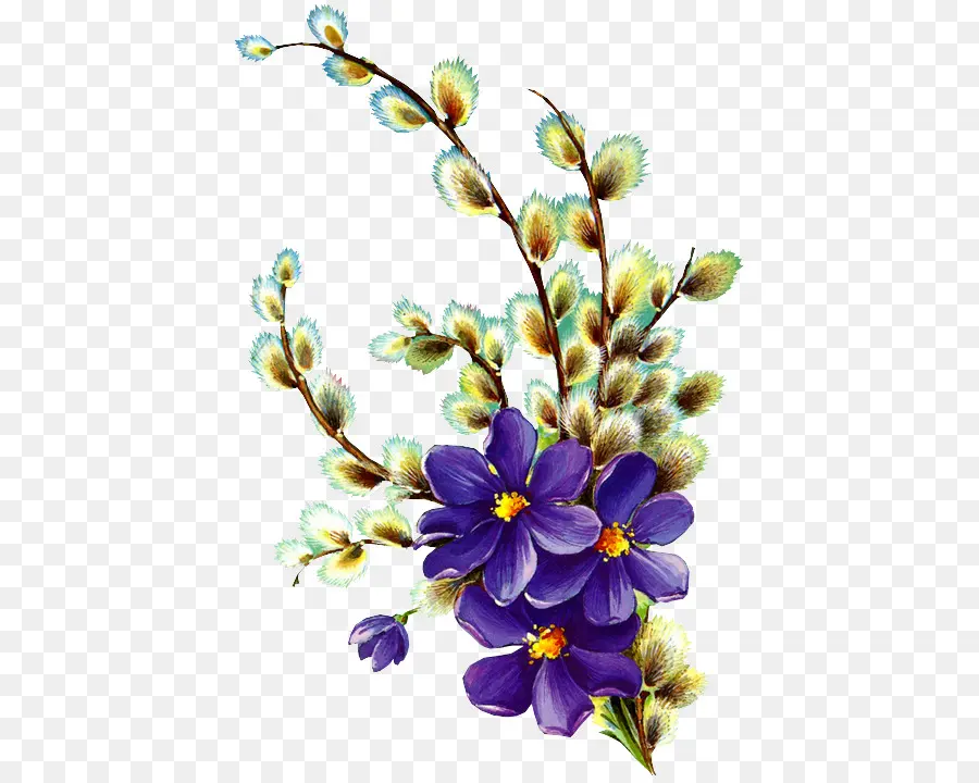 Indicador，Flor PNG