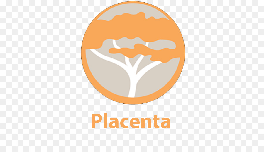 Kodi，Placenta PNG