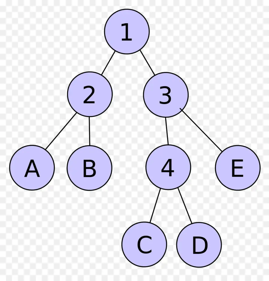 Diagrama De árvore，Nós PNG