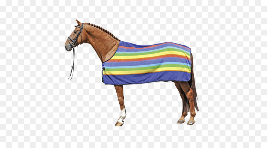 Cavalo，Cavalo Cobertor PNG