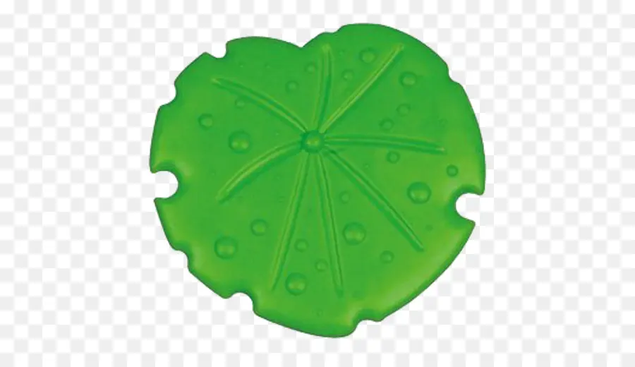 Folha Verde，Gotas De água PNG