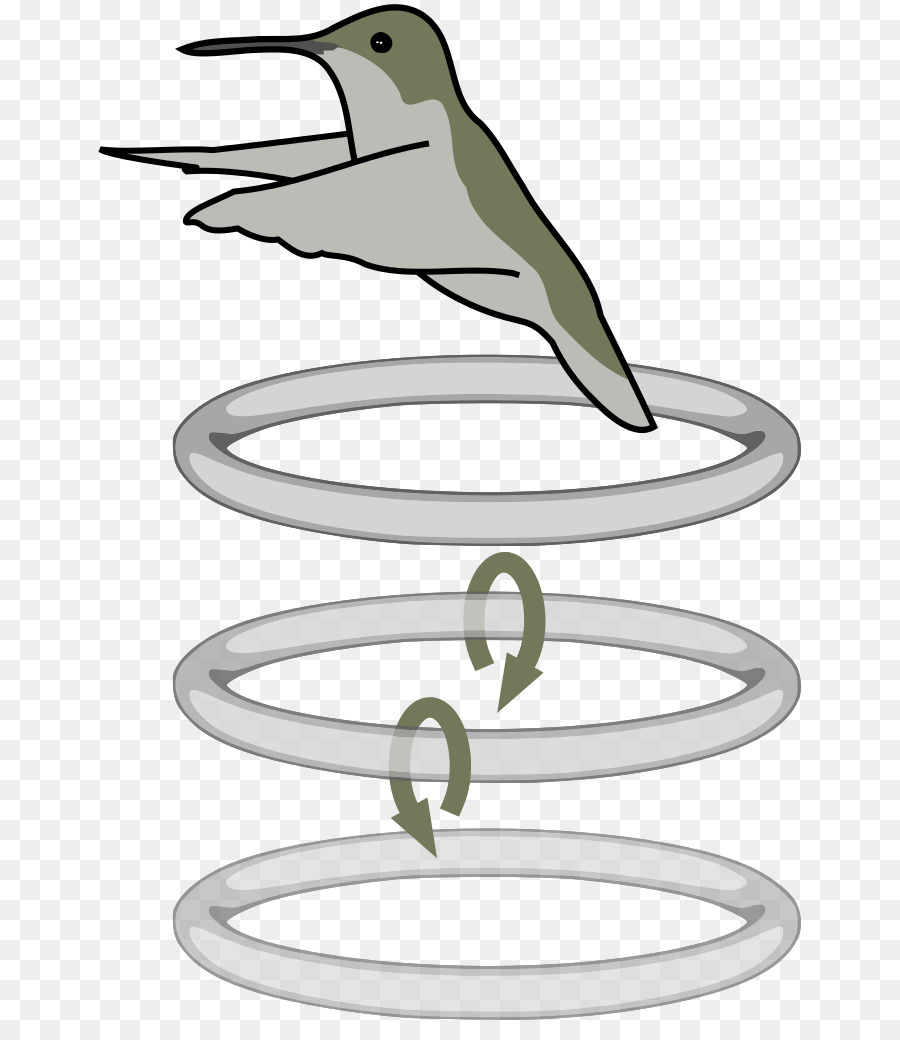 Aves，Schwirrflug PNG