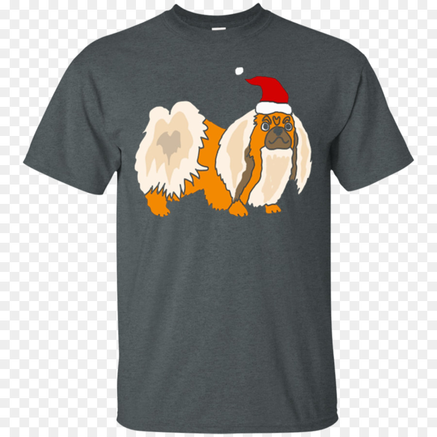 Tshirt，Capuz PNG