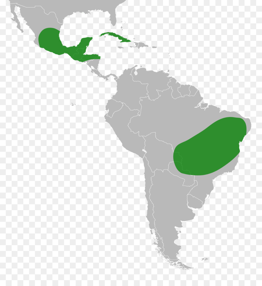 Mapa Da América Do Sul，Continente PNG