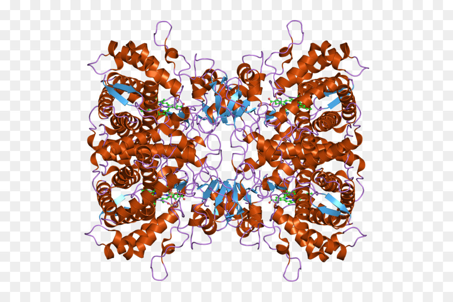 Estrutura Proteica，Molécula PNG