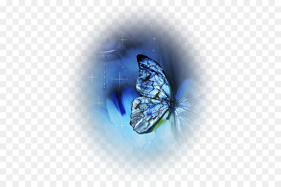 Borboleta Azul，Natureza PNG