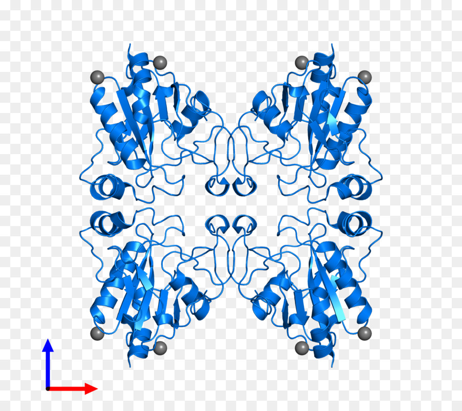 O Comportamento Humano，Organismo PNG