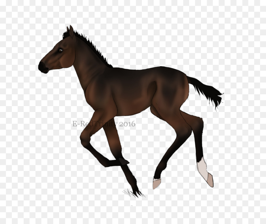 Cavalo Decorado，Padrões Verdes PNG