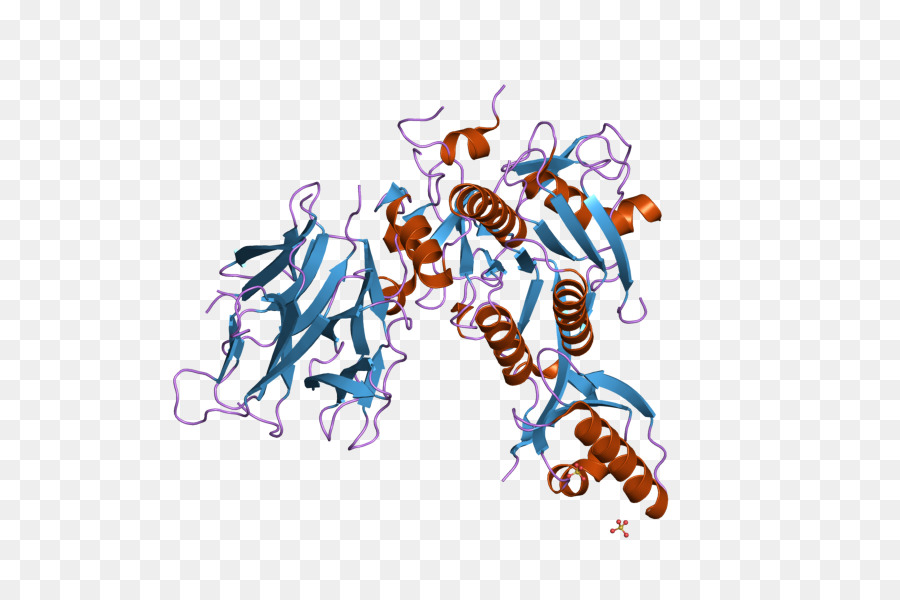Estrutura Proteica，Molécula PNG