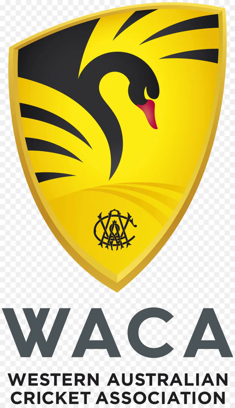 Logotipo Da Waca，Grilo PNG