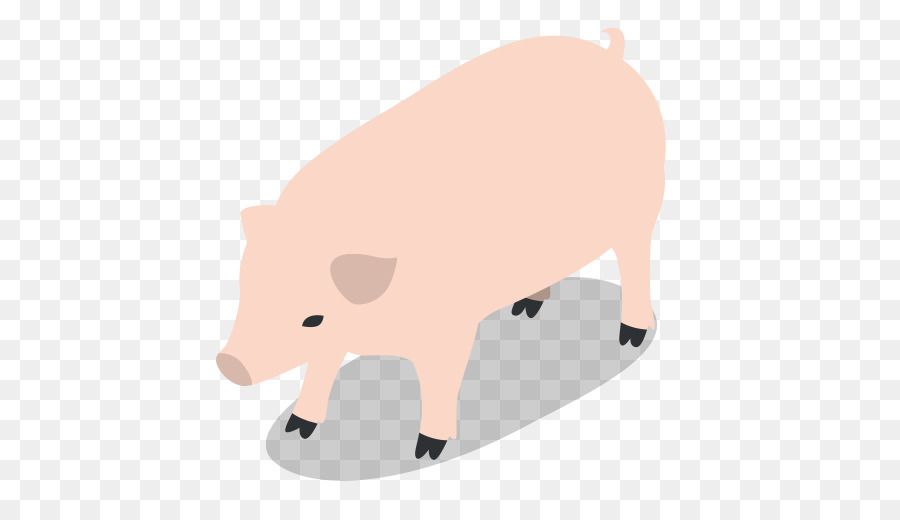 O Porco Doméstico，Porco PNG