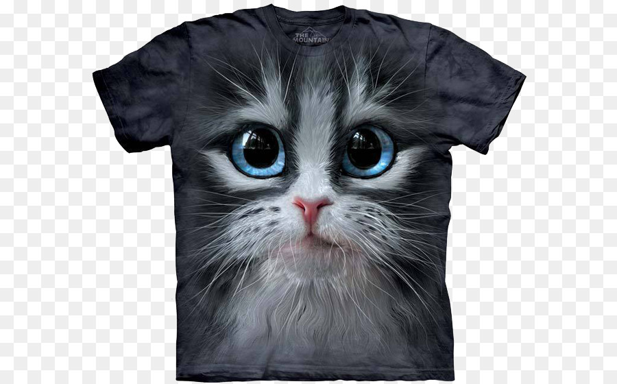 Tshirt，Gatinho PNG