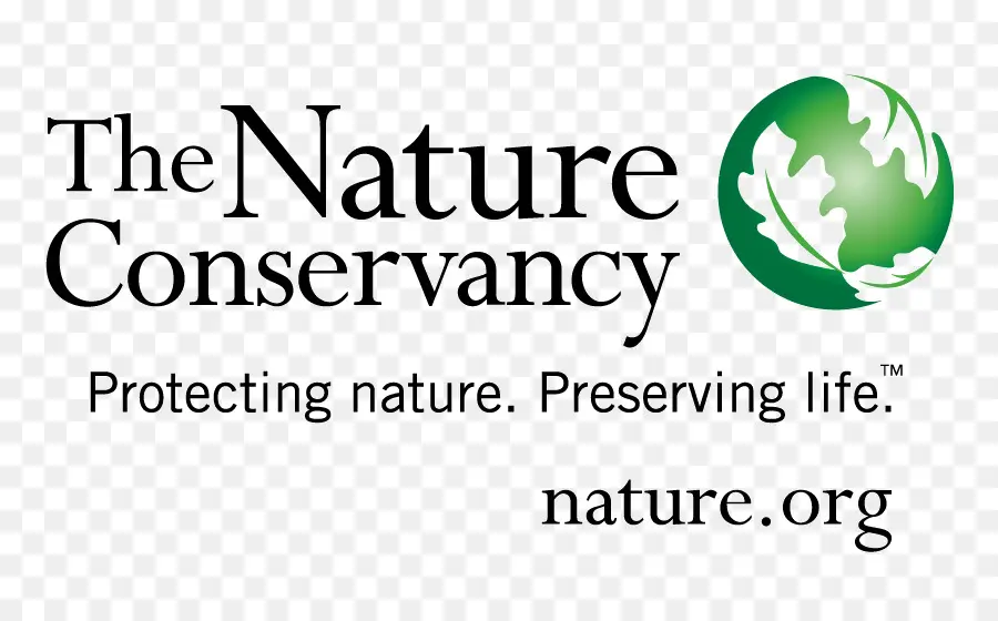 Logotipo Da Conservação Da Natureza，Natureza PNG