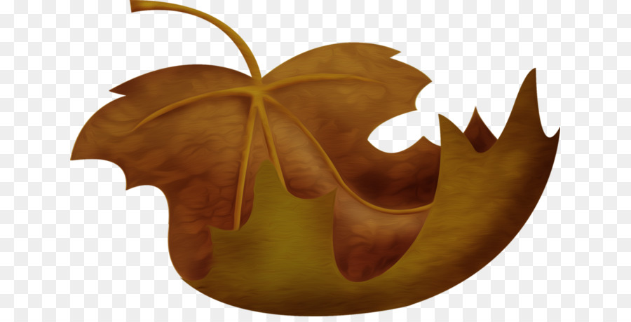 Folhas Marrons，Outono PNG