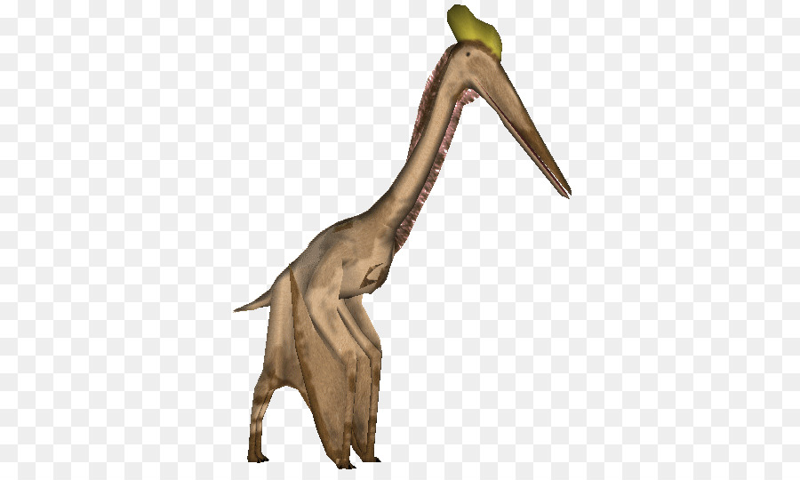 Quetzalcoatlus，Zoo Tycoon 2 PNG