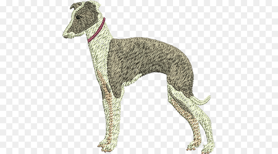 Galgo Espanhol，Greyhound PNG