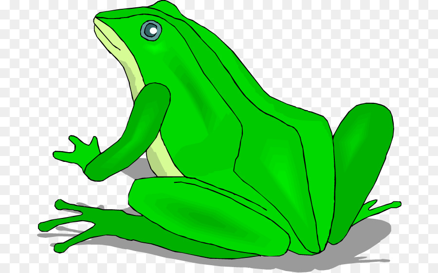 Sapo Verde Dos Desenhos Animados，Animal PNG