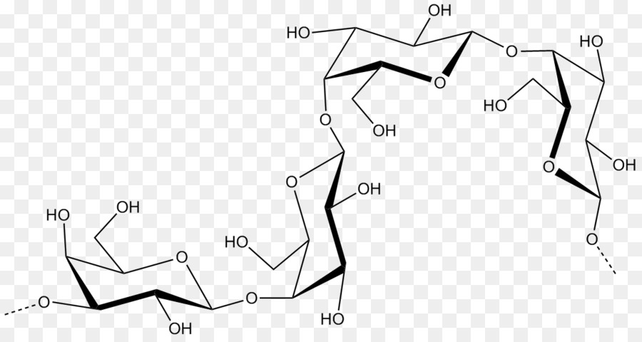 Galactan，Galactose PNG