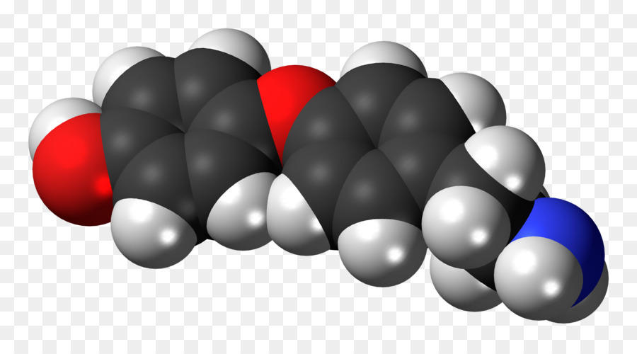 Triiodothyronine，Inverter A Tri Iodotironina PNG
