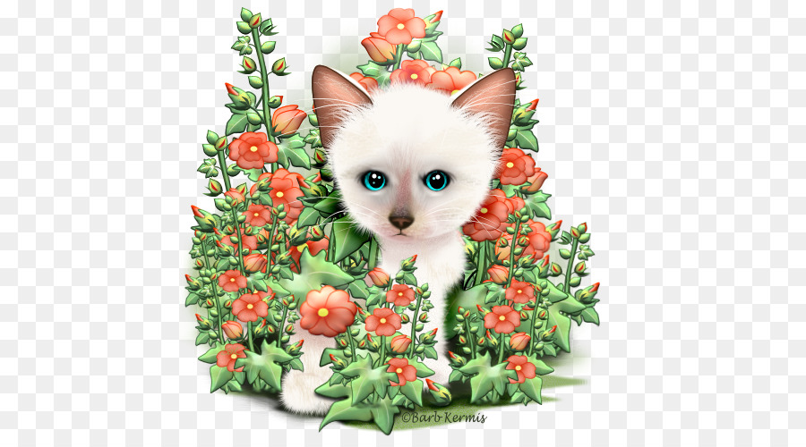 Gatinho Branco，Flores PNG