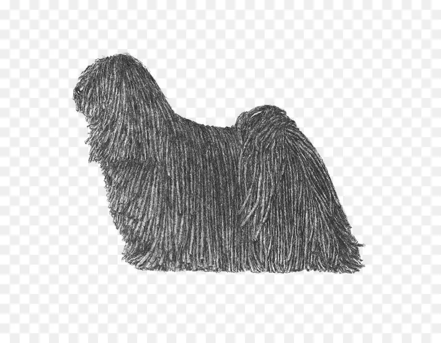 Cachorro Preto，Bicho De Estimação PNG