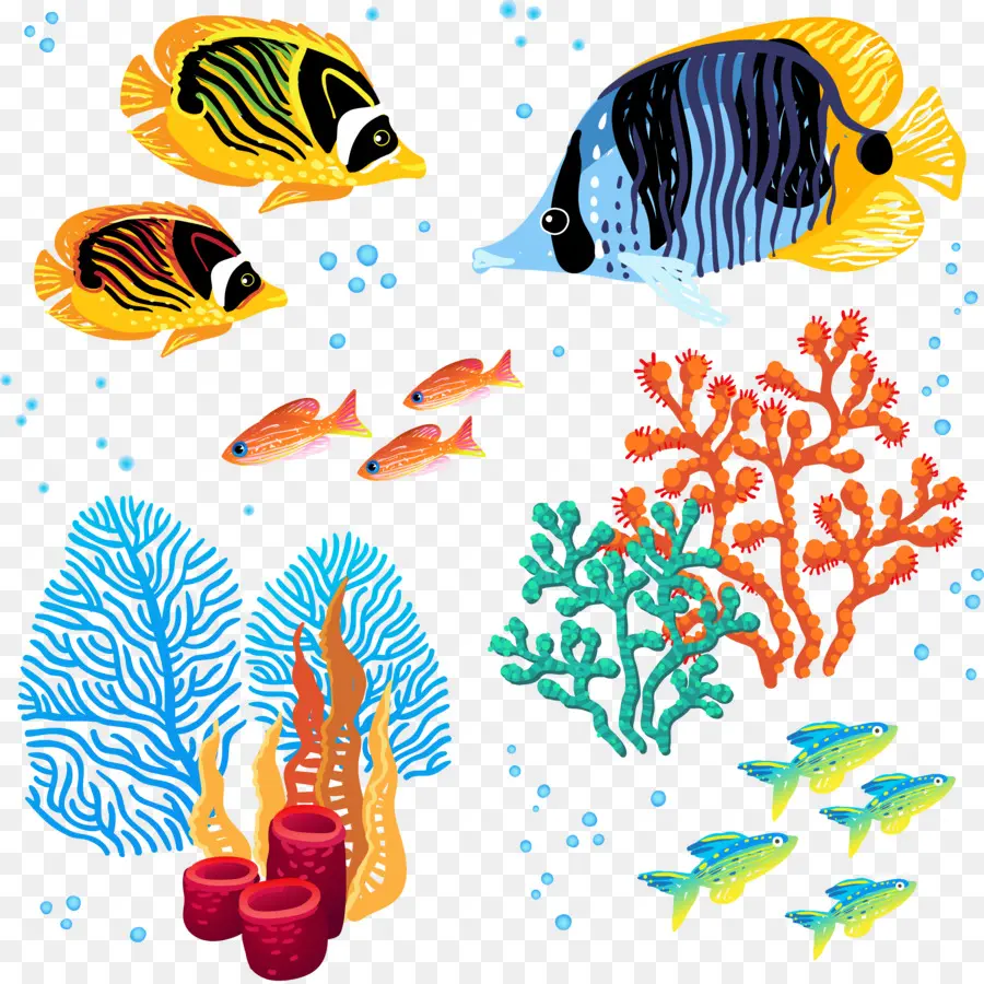 Peixe Colorido，Coral PNG