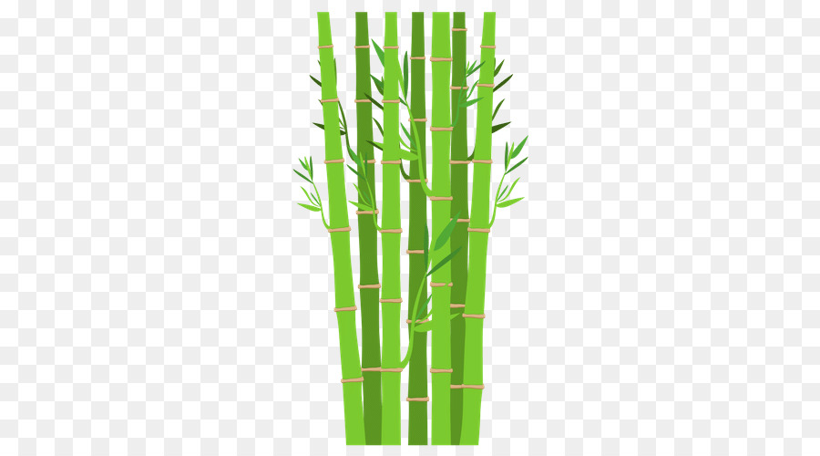 Planta，Tropical Woody Bambus PNG