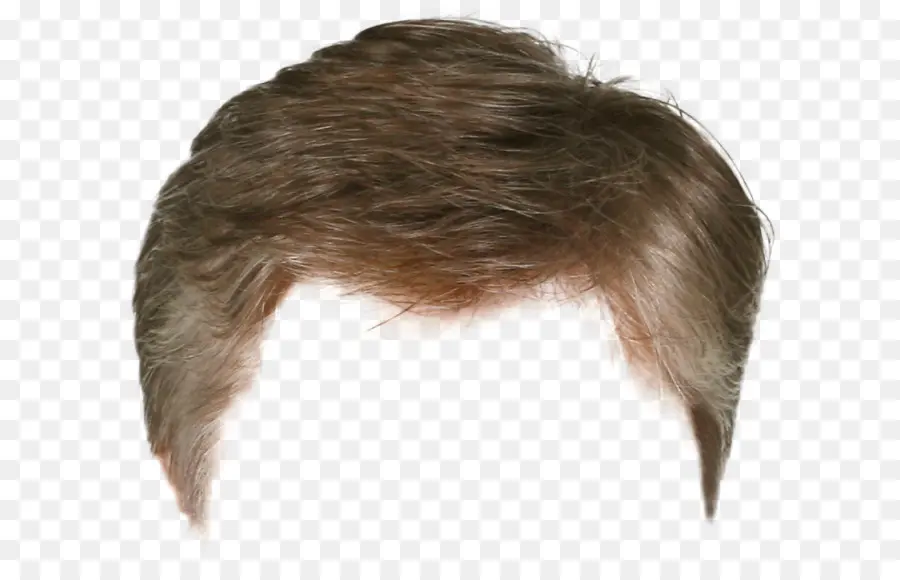 Coque De Cabelo，Penteado PNG