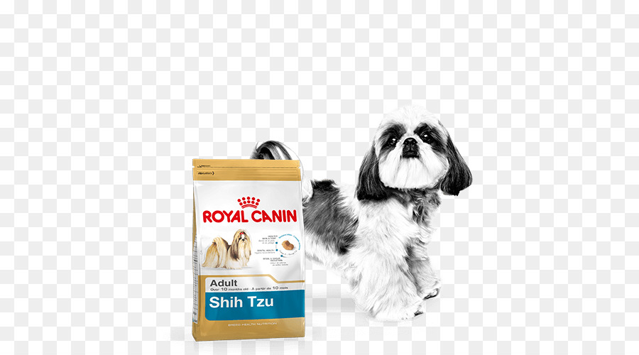 Shih Tzu，Schnauzer Miniatura PNG