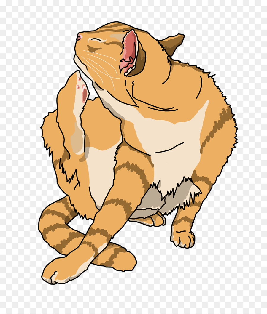 Gato Marrom，Felino PNG