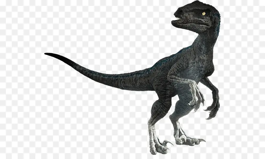 Velociraptor，A Universal Pictures PNG