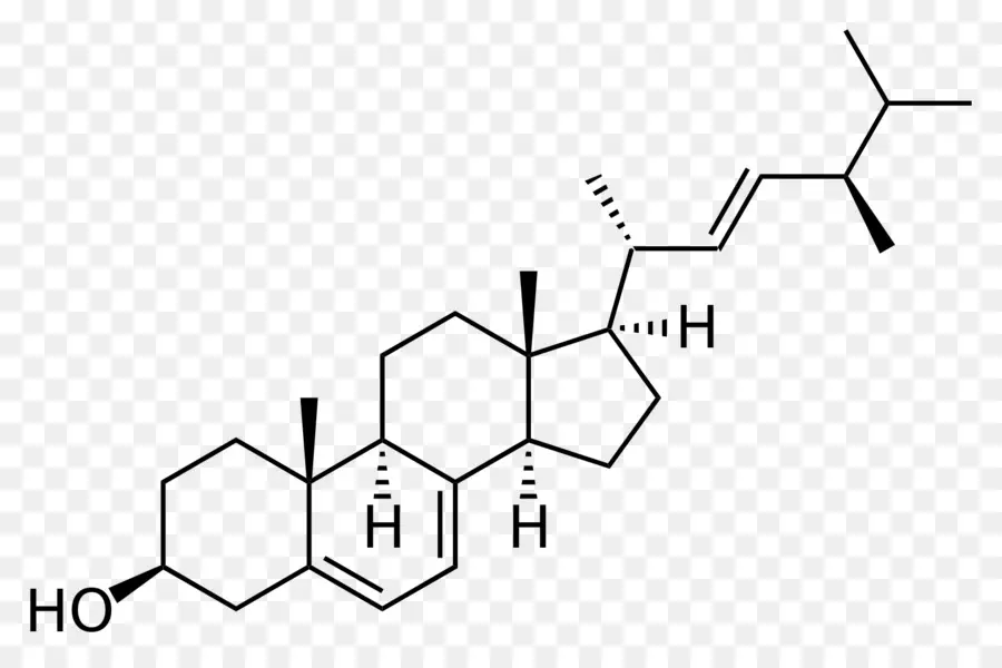 O Colesterol，Esteróides PNG