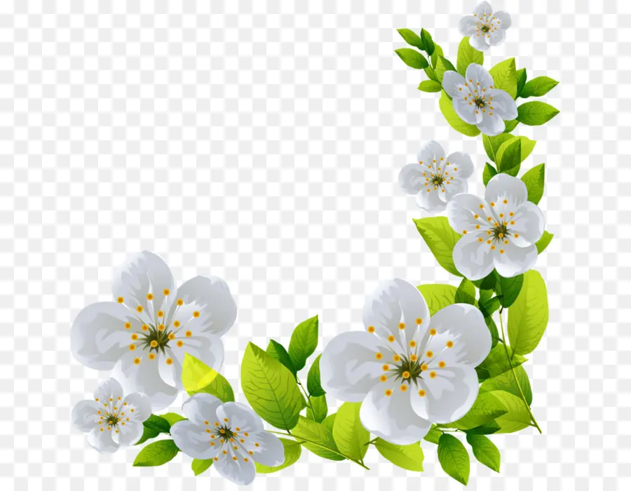 Flor，Choix Des Plus Belles Fleurs PNG