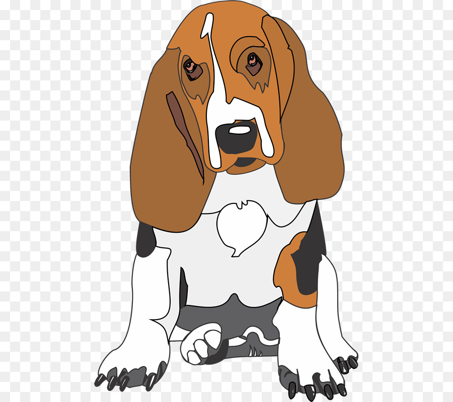 Beagle，Basset Hound PNG