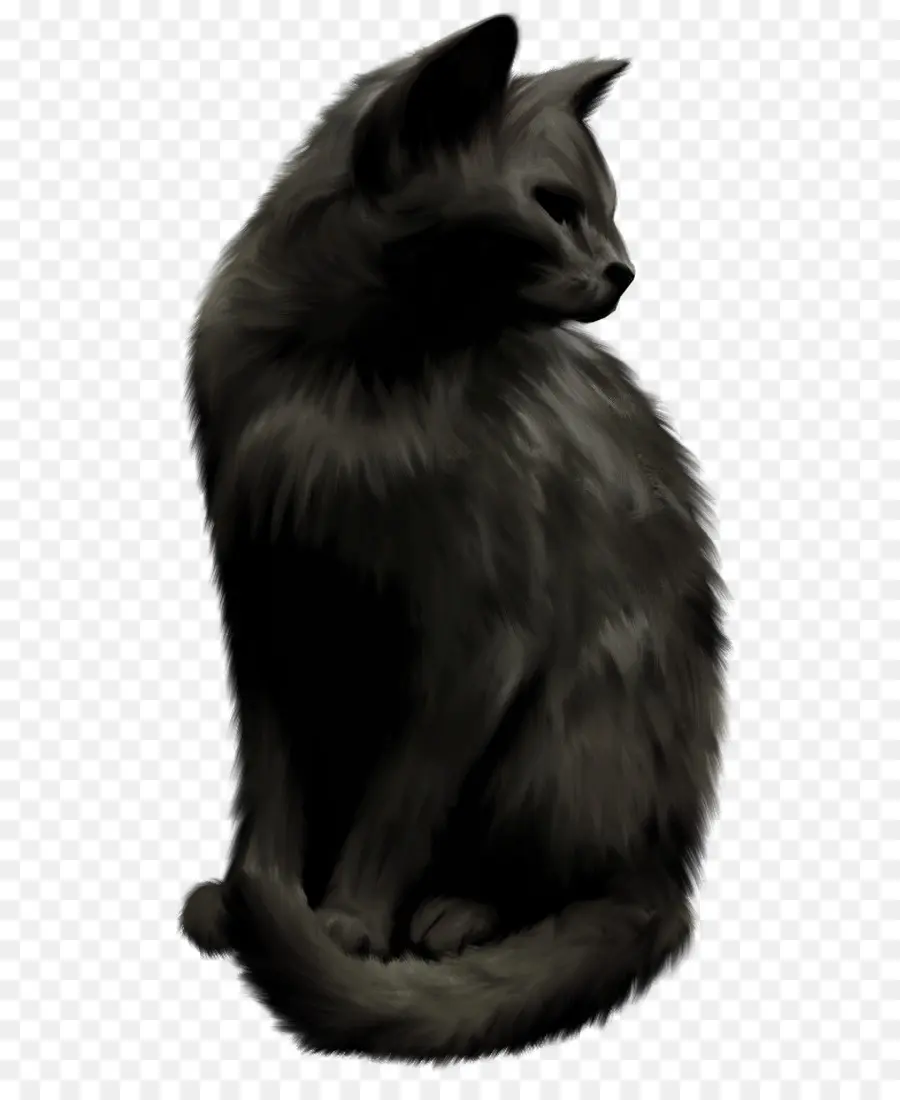 Gato Preto，Felino PNG