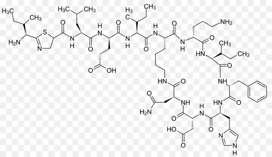 Estrutura Química Complexa，Molécula PNG