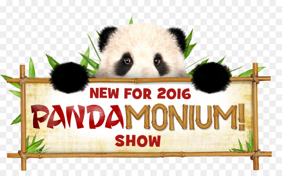 Chessington World Of Adventures，Panda Gigante PNG