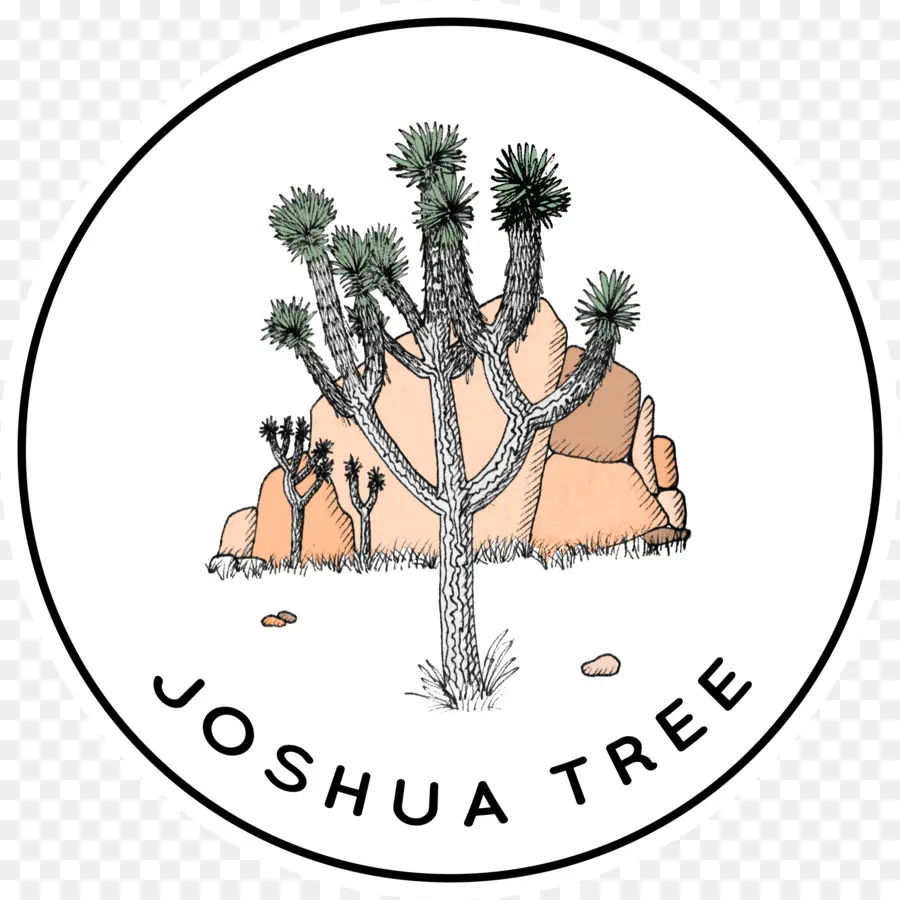 Parque Nacional Joshua Tree，Joshua Tree PNG