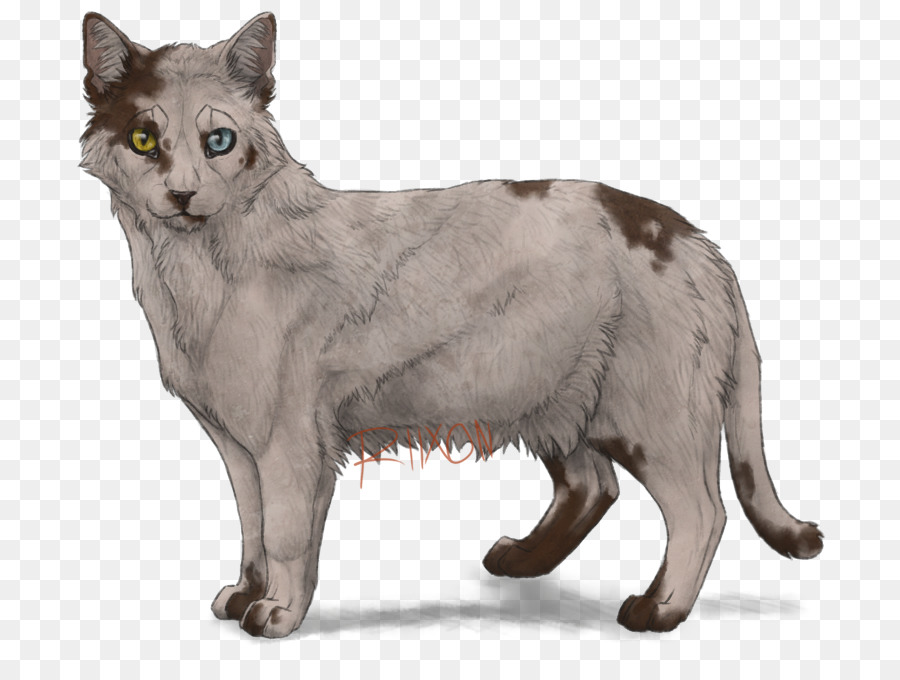 Nebelung，Bigodes PNG