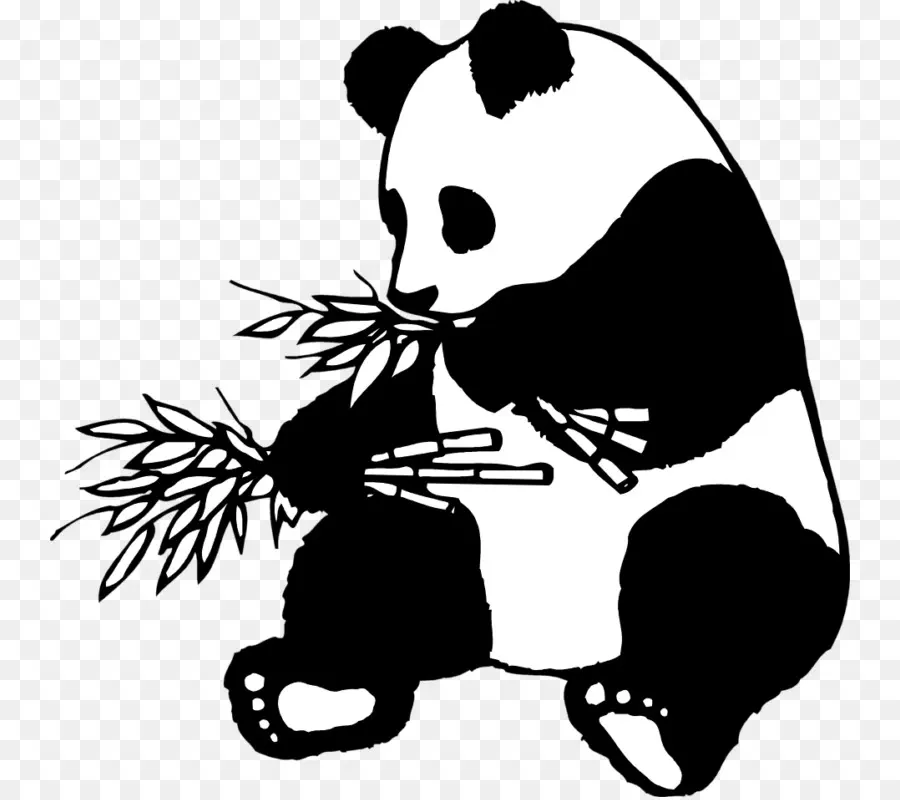 Panda，Bambu PNG